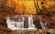 唯美秋天风光_autumn (14)