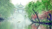 江苏的江南美景也是甲天下的_640 (25)